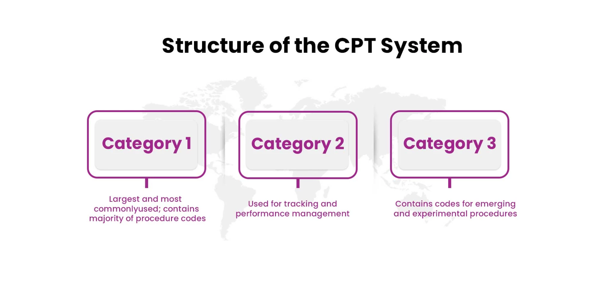 CPT (Current Procedural Terminology)